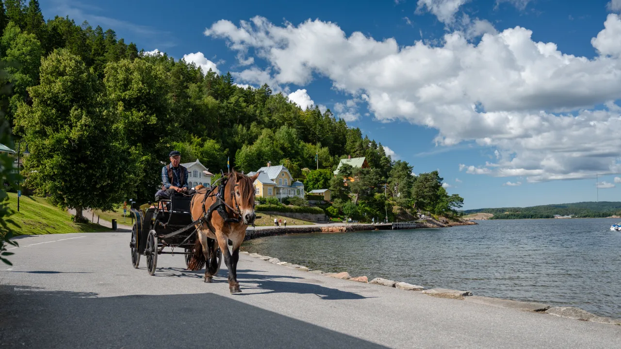 Häst och vagn under Gustafsbergsdagarna vid Byfjorden i Uddevalla