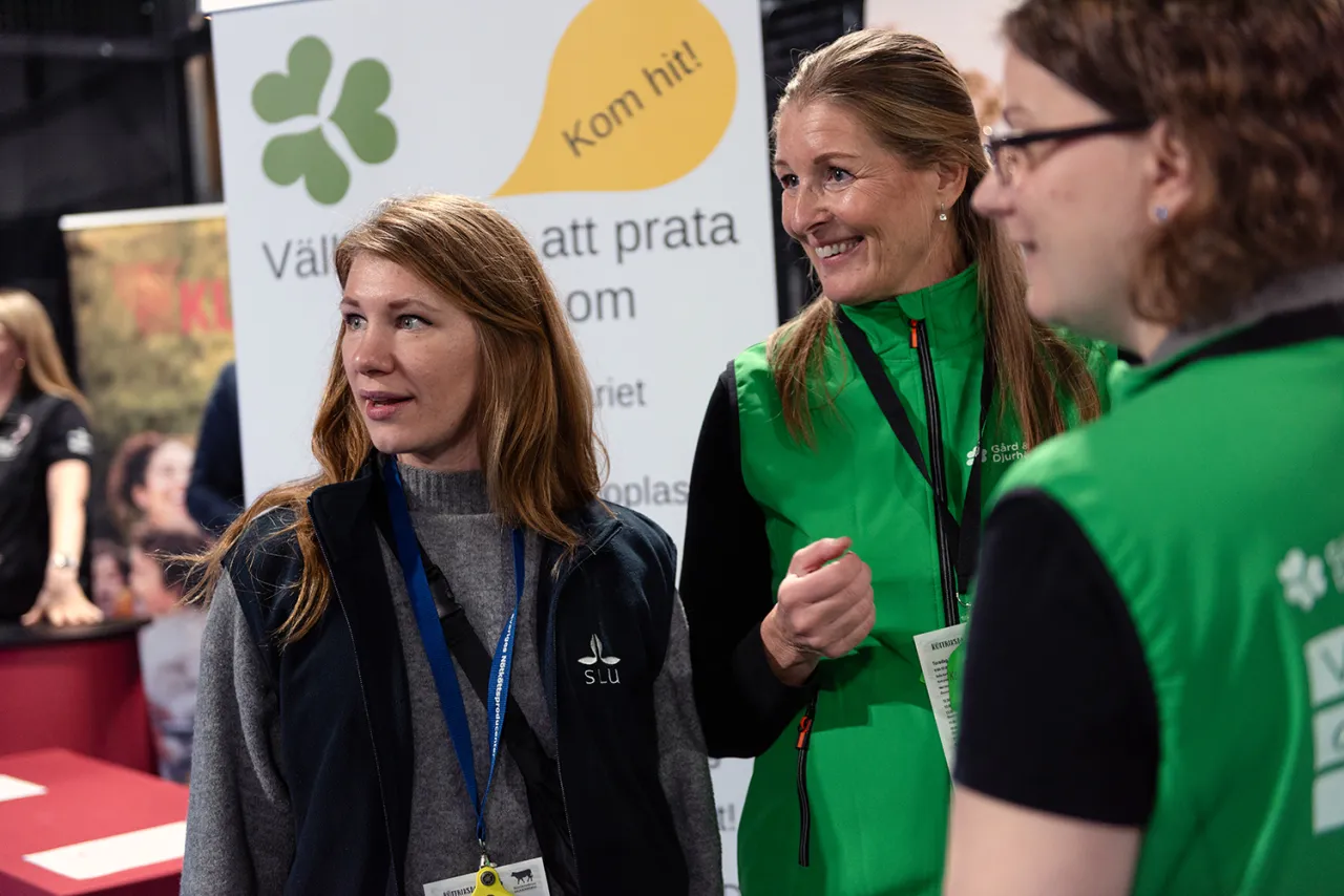 Utställningshall på västkusten i Uddevalla