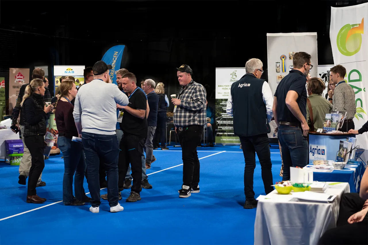 Utställningshall på västkusten i Uddevalla